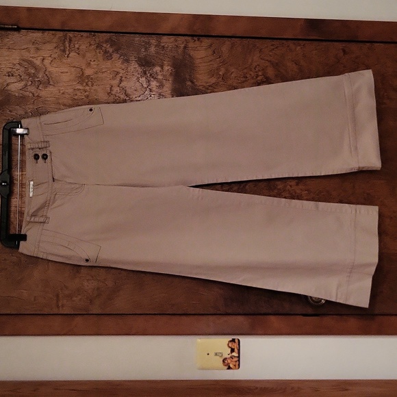 Ann Taylor Pants - Ann Taylor pants 2
